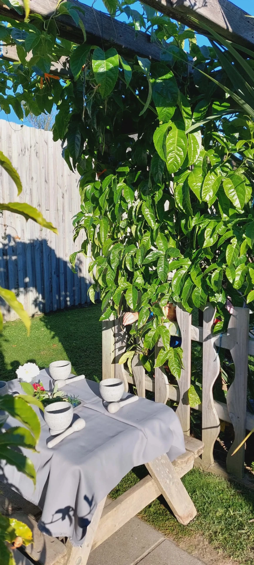 A child peeking through the picket fence beside a set outdoor table under a shady passionfruit vine