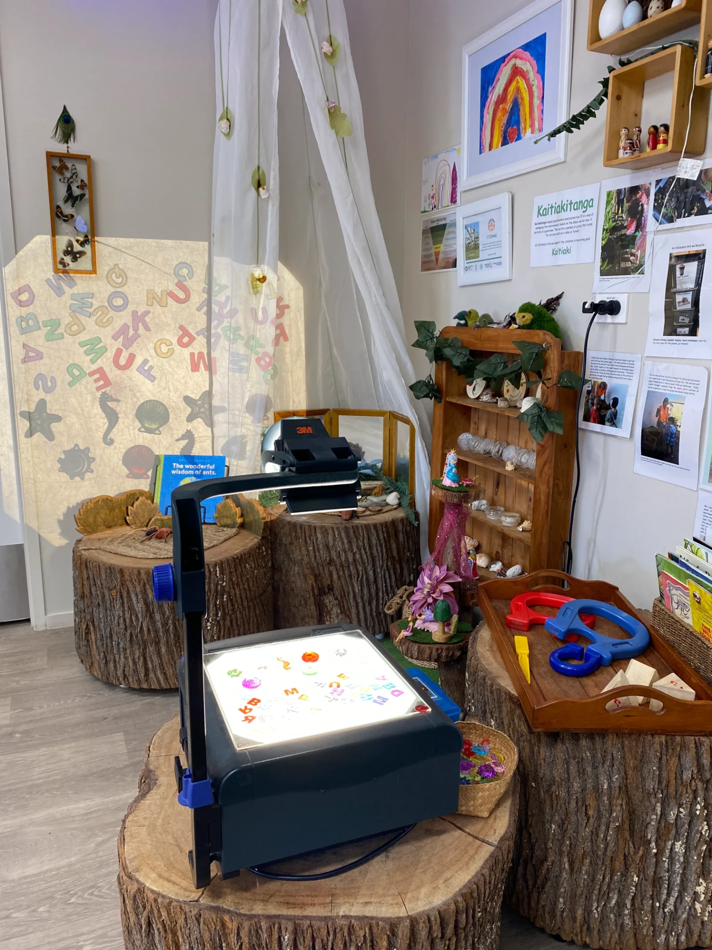 Overhead projector casting giant letters onto the wall beside a nature and science provocation area